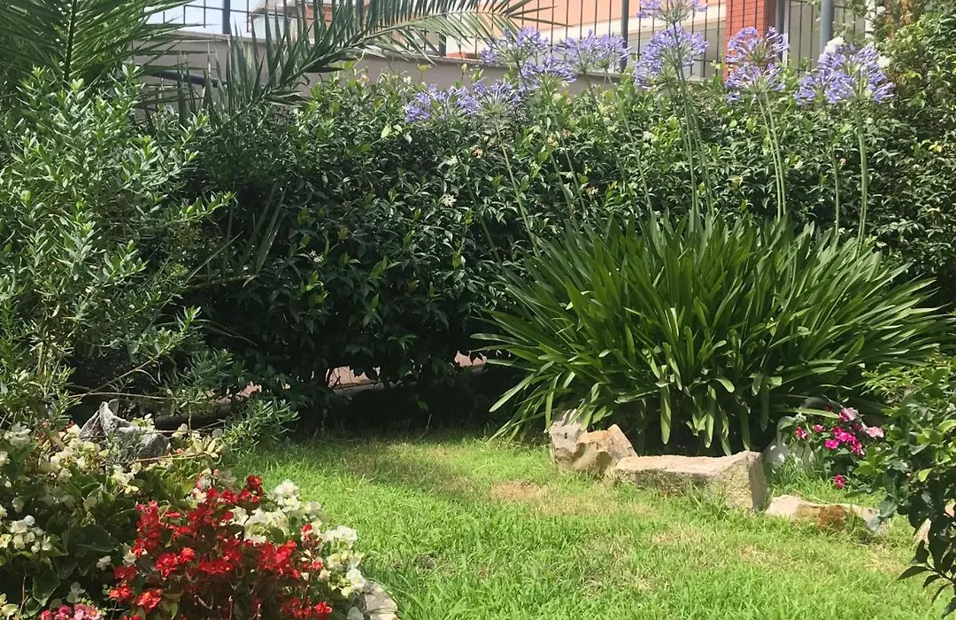 Lovely Little Apartment In Via Aurelia-1